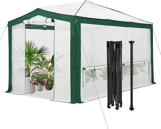 EAGLE PEAK 12x8 Portable Walk in Greenhouse with Polyester Reinforced Corners, Instant Pop up Indoor Outdoor Gardening Green House, Roll Up Zipper Doors Mesh Windows & Winter Support Pole, Green/White