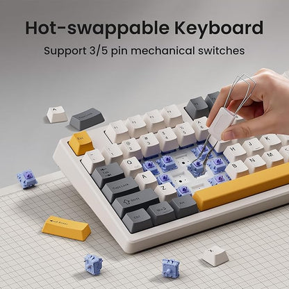 Kisnt KN85 Wireless Mechanical Keyboard, 75% Layout, Bluetooth/2.4GHz/USB-C, Custom RGB Backlit, Hot-Swappable Linear Switch, Creamy Sound for Gaming/Typing (Retro Beige)