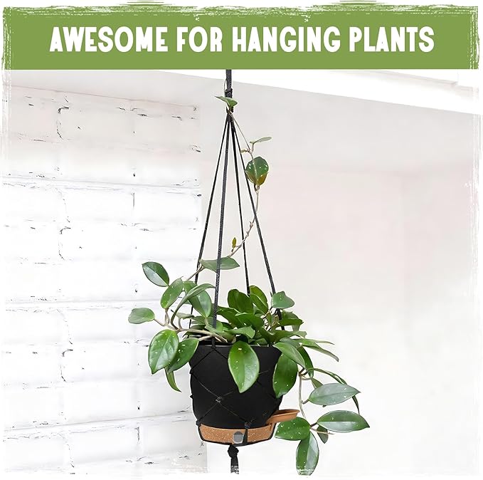 Self-Watering Pots for Indoor Plants 4 Pack, 6/8/10/12 Inch Outdoor Planters with Water Level Indicator&Deep Reservoir, Decorative Flower Pots for Indoor Plants,Home Decor (Black, 12+10+8+6 inch)