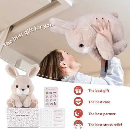Niuniu Daddy 14" | 3.5 Pound Weighted Bunny Stuffed Animal for Kids & Adults, Rabbit Large Plush Toy with Soft Fur, Weighted Plushies Pillow for Sensory Calm, Huggable Gift for Everyday Comfort