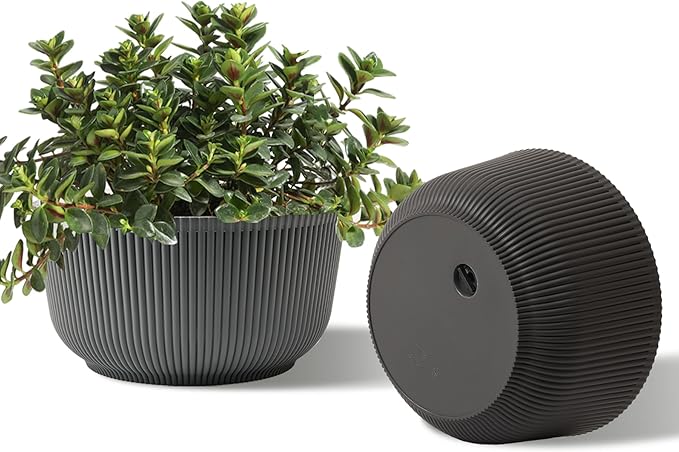 T4U 10 Inch Self Watering Pots for Indoor Plants, Plastic Plant Pots with Drainage Hole, Large Flower Pots for Indoor Outdoor Plants Cactus, Garden, Set of 2, Gray