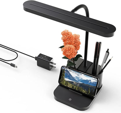 AXX Desk Lamp for College Dorm Room, School Study Supplies for Teens Kids, Office Desk Lights with Organizer/Storage, Desktop Lamp for Bedroom, LED, Small, Black, Pen Holder, Gooseneck