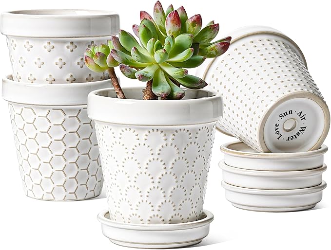 LE TAUCI 3 Inch Mini Succulent Pots - Very Small Ceramic Planter with Saucer, Tiny Embossed Flower Pots for Lithops, Mini Cactus, Air Plants, Fairy Gardens - Indoor Home Decor, Set of 4, Arctic White