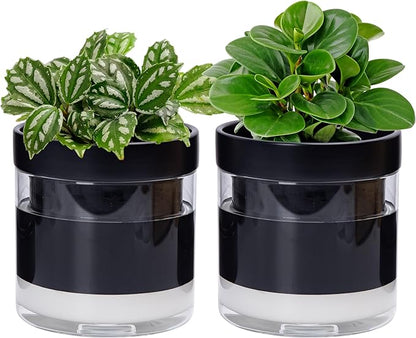 Phoenix Vine 6 Inch Self Watering Planter Pot, Black Terracotta Clay Pot with Glass Reservoir for Indoor Plants, Herbs, Flowers, Set of 2, 52-C-F-2