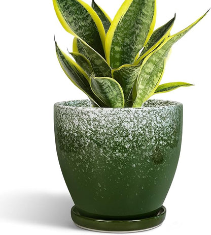 6 Inch Plant Pot - Ceramic Plant Pots with Drainage Hole and Saucer, Ceramic Planter for Indoor Outdoor Plants, Round Modern Planter, Room House Decor, Gifts for Women Men, Green