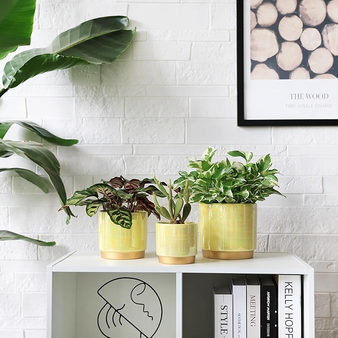 Gepege Indoor Pots for Plants, Ceramic Planter with Drainage Hole, 6.0 inch+5.0 Inch+4.0 Inch. Succulent Orchid Flower Pot - Rainbow Pearl Glaze
