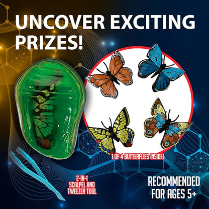 Discover-It Dissection Kit for Kids, Synthetic Butterfly Metamorphosis Science Lab Kit, STEM Science Toys for Kids Ages 5 and Above