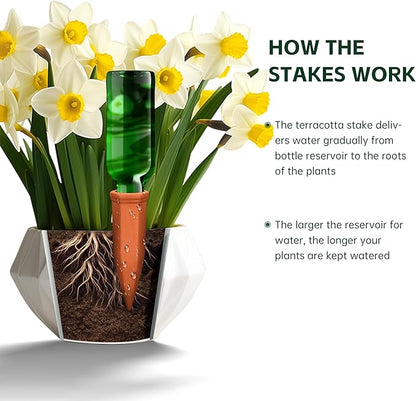 Wine Bottle Watering Spikes, Terracotta Watering Spikes for Out | Indoor Plants, Self Watering Planter Insert, Vacation Plant Watering Devices, Clay Plant Watering Globes, 8-Pack