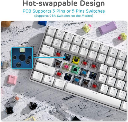 RK ROYAL KLUDGE RK96 Wireless Mechanical Keyboard with Magnetic Wrist Rest | 96 Keys Hot Swappable Wireless Gaming Keyboard with Software, Triple Mode BT5.0/2.4G/USB-C, Blue Backlight, Custom Switch