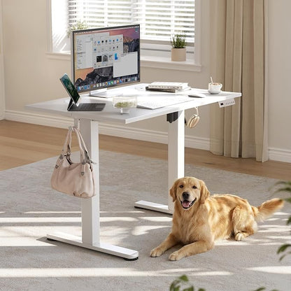YDN 40 x 24 Inch Warm White Electric Standing Desk | Adjustable Height, Sit Stand, Cable Management, Ergonomic, Home Office