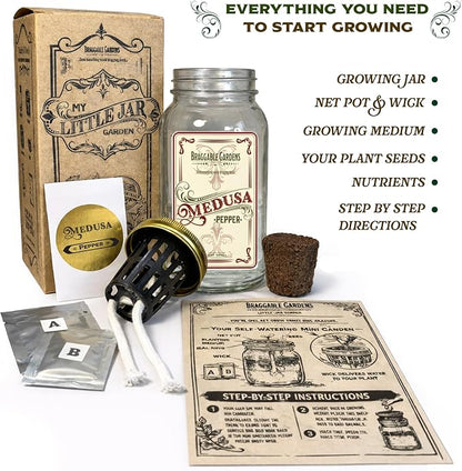 Medusa Pepper Indoor Garden Kit – Mason Jar Hydroponic Pepper Grow Kit – Windowsill Countertop Pepper Plant – Grow Ornamental Chili Peppers Indoors