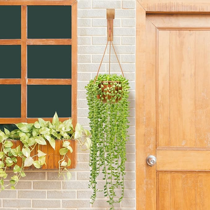 FGSAEOR Plant Hangers Outdoor, Hanging Plant Hooks for Indoors, Wave-Shaped Wooden Hanging Baskets for Wall Plant Hooks Heavy Duty for Flower Pots Wind Chimes and Bird Feeders (2-Pack, 6.8-Inch)