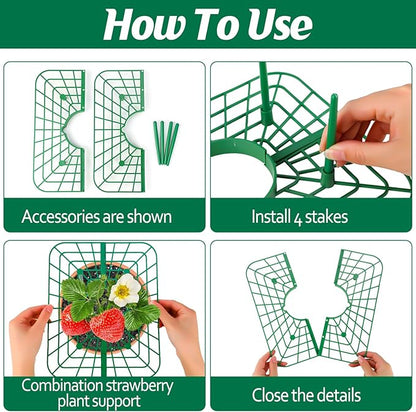 4 Sets Strawberry Plant Support with Mesh Plant Cover,Strawberry Growing Racks Sets with Iron Plant Nails and Storage Bag for Garden Strawberry Vegetables(White Net - Square)