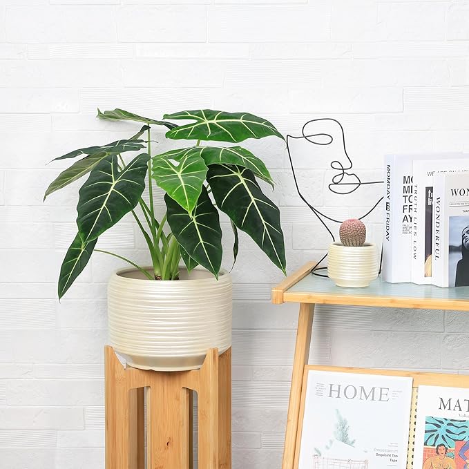 10 Inch Ceramic Plant Pot with Drainage – Large Flower Pot for Indoor Outdoor Plants, Modern Decorative Planter for Patio, Balcony, Garden, or Home Decor