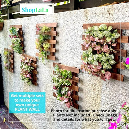 ShopLaLa Wall Planter - 2 Pack Wooden Hanging Succulent Wall Decor, Live Air Plants Orchids Wall Mounted Holder Frame Display for Indoor Outdoor, Living Plant Wall Decor Balcony Garden