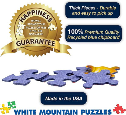 White Mountain 1000 Piece Jigsaw Puzzle Funny Rules Collage Puzzles with Large Pieces Gift for Adults and Family 24"x30" - Crazy State Laws