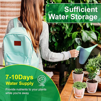 Self Watering Planters - 2 Pack, 6 Inch Transparent Flower Pots for Indoor Plants, Perfect for African Violet, Monstera, Succulents, Herbs & Decorative Flowers