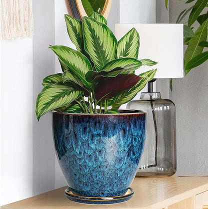 Ceramic Plant Pot, 6.3 Inch Ceramic Planter Pot with Drainage Hole and Saucer, Succulent Round Flower Pot for Indoor Plants Outdoor, Blue