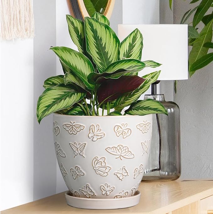 Ceramic Planter Pot - 6.8 Inch Plant Pot with Drainage Hole and Saucer, Succulent Round Flower Pot for Plants Indoor Outdoor, White