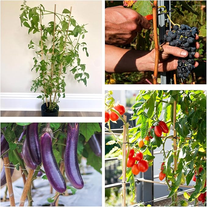 Plant Stakes 3FT, Natural Bamboo Stakes, HAINANSTRY 25Pcs Sturdy Bamboo Garden Stakes, Bamboo Sticks for Plants, Beans, Indoor and Outdoor Climbing Plants, Tomato Vegetable Stakes for Garden