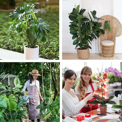 12 Pack Plant Support Stakes, Plant Stakes for Indoor and Outdoor Plants. 39.37inch Plant Sticks with Extension Poles, Plant Clips, Plant Ties for Potted Monstera Plants, Climbing Plants