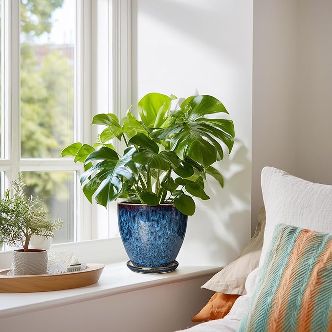 6 Inch Plant Pot - Ceramic Pots for Plants with Drainage Hole and Saucer, Ceramic Planters for Indoor Plants Outdoor, Decorative Round Planter, Room Home Decor, Gifts for Plant Lovers, Blue