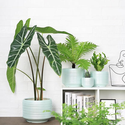 10 Inch Ceramic Plant Pot with Drainage – Large Flower Pot for Indoor Outdoor Plants, Modern Decorative Planter for Patio, Balcony, Garden, or Home Decor