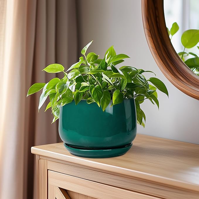 G EPGardening 6 Inch Plant Pot - Ceramic Planter for Indoor Plants, Round Planter with Drainage and Ceramic Tray, Flower Pots for Outdoor, Modern House Decor, Gift for Men Women, Green