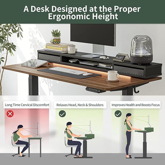 FEZIBO 48 x 24 Inch Height Adjustable Electric Standing Desk with Double Drawers, Stand Up Desk with LED Strips, Sit Stand Desk with Monitor Stand, Blcak Walnut