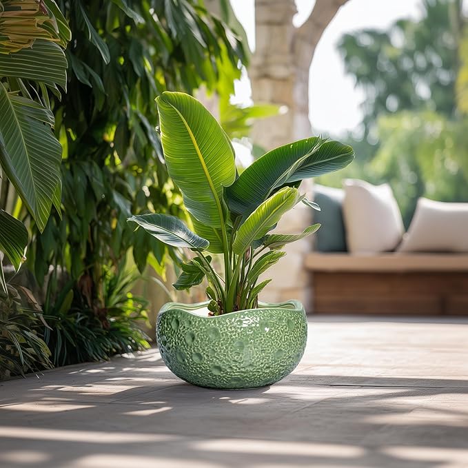 Ceramic Pots for Plants - 13 Inch Large Bonsai Pots Indoor Outdoor, Round Plant Pot with Drainage Hole, Decorative Flower Pot, Modern Unique Planters, Patio Decor, Plant Lover Gifts, Green