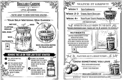 Medusa Pepper Indoor Garden Kit – Mason Jar Hydroponic Pepper Grow Kit – Windowsill Countertop Pepper Plant – Grow Ornamental Chili Peppers Indoors