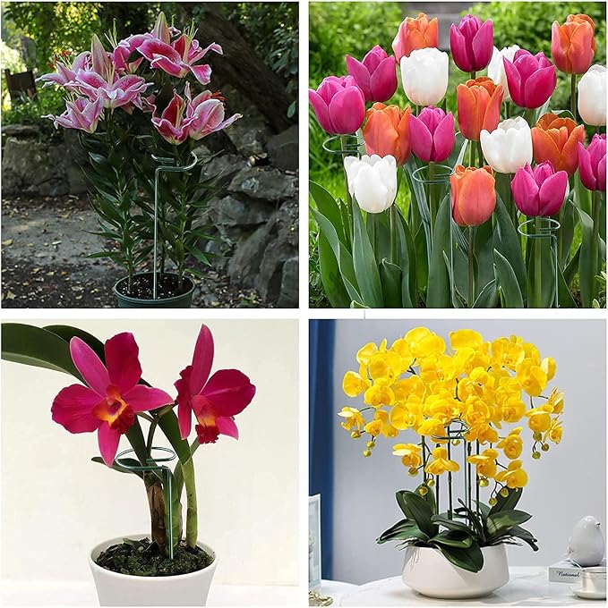 20 Pack 36 Inch Plant Support Stakes for Outdoor Plants and Indoor Flowers | Includes 24 Twist Ties, Sturdy metal, Rust-proof, Supports Hibiscus, Sunflower, Red Hot Poker, Hydrangea, Tomato, and more