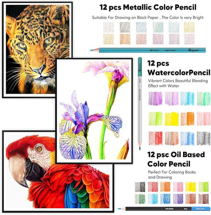 iBayam 78-Pack Drawing Set Sketching Kit Art Supplies for Adult, Christmas Gifts for Adult, with 3-Color Sketchbook, Coloring Book, Colored, Graphite, Charcoal, Watercolor & Metallic Pencil