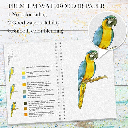 3Pcs Watercolor Workbook Paint Book Beginner Friendly Painting Kit, 36 Pages Workbooks with 24 Paint Colors & Brush for Beginners, Stress-Relieving Gift for Women Adults (Bird&Flower&Kitchen)