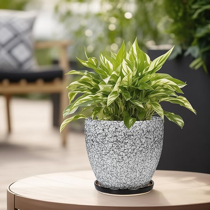 Ceramic Planter - 6.3 Inch Plant Pot for Indoor Ourdoor Plants, Round Succulent Planter, Decorative Flower Pots with Drainage Hole and Saucer, Home Desk Decor, Housewarming Gifts, White-black