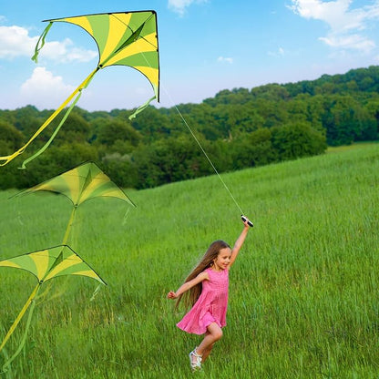 JOYIN 3 Packs Large Delta Kite Gradient Rainbow, Easy to Fly Huge for Kids and Adults, Large Delta Beach Kite for Outdoor Games and Activities