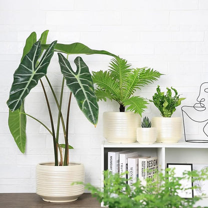 10 Inch Ceramic Plant Pot with Drainage – Large Flower Pot for Indoor Outdoor Plants, Modern Decorative Planter for Patio, Balcony, Garden, or Home Decor