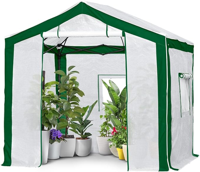 EAGLE PEAK 8x8 Portable Walk in Greenhouse with Polyester Reinforced Corners, Heavy Duty Instant Pop Up Indoor Outdoor Green House, Front Roll Up Zipper Entry Door and Mesh Windows, Green/White