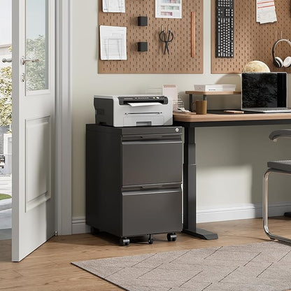 2 Drawer File Cabinet with Lock,Under Desk Storage Metal Filing Cabinet for Legal/Letter/A4 File,Mobile Rolling for Home Office -Black