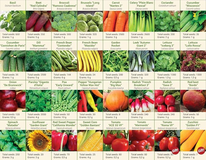 Garden Pack 30 Vegetable Seeds Variety Kit - Over 15000 Seeds for Planting Vegetables & Herbs, Premium Garden Seeds Gift Box, Heirloom & Non-GMO