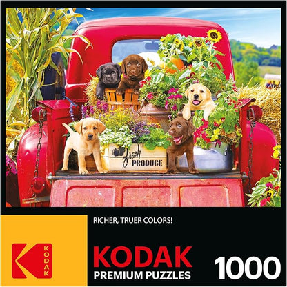 RoseArt - Kodak Premium - Stowaways - 1000 Piece Jigsaw Puzzle for Adults