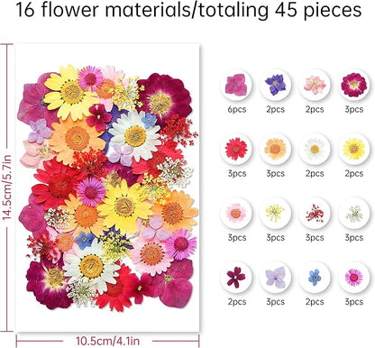 Dried Flowers, Kaluofan 45PCS Real Pressed Flowers, Dried Flowers for Resin Crafts, for Bookmark Resin Scrapbooking Jewelry Crafts Making, Candle and Nails Decoration