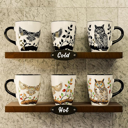 Color Changing Owl Coffee Mug 12oz – Heat Sensitive Ceramic Cup with Floral Reveal – Gifts for Owl Lovers, Unique Coffee Mugs for Women, Christmas Holiday Gift, Perfect for Coffee, Tea or Cocoa