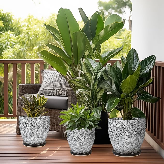 10 Inch Plant Pot - Ceramic Planter for Indoor Outdoor, Round Large Plant Pots, Modern Planter with Drainage Hole and Tray, Home Room Office Garden Decor, Gifts for Women Men, White-Black