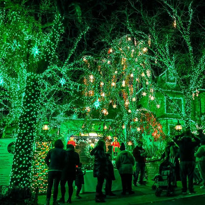 Dazzle Bright Fairy Lights Battery Operated, 2 Pack Total 40FT 120LED Silver Wire Waterproof String Lights, Christmas St. Patrick's Day Decorations for Indoor Outdoor Bedroom Yard Decor, Green